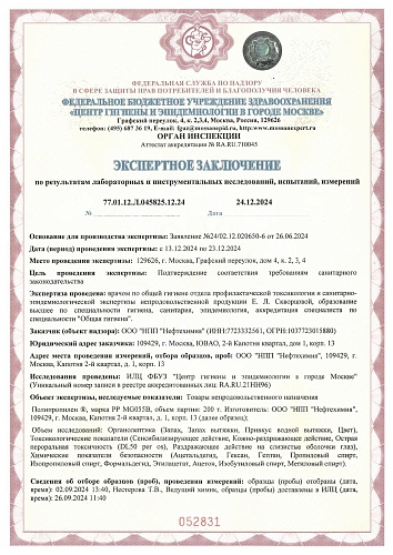 Экспертное заключение № 052831